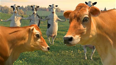 xxx cow video .